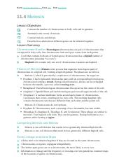 10-24-2022 CH 11-4 Reading Guide - A.M..docx