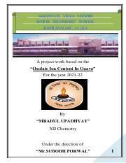 Chemistry Project- 2021-22.pdf