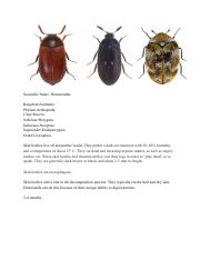 Forensic entomology.pdf