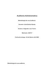 Metodologia de una Auditoria.docx