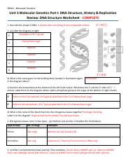 1e - DNA pp. 1-4 COMPLETE.pdf