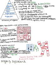 Notes for lecture 1.pdf