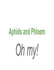 6_Aphids.pdf