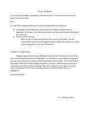 Fly Lab-Example Lab Report.docx.pdf