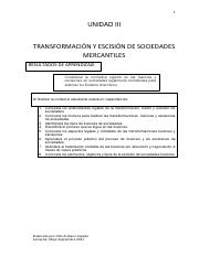 UNIDAD III FUSIONES Y ESCISIONES.pdf