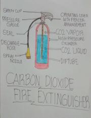 Carbon Dioxide F.E.pdf