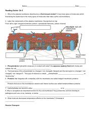 Plasma Membrane and Metabolism Reading Guide-1.pdf