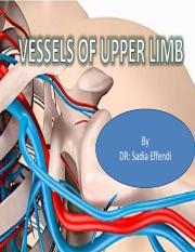 vessels of the upper limb-1.pdf