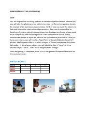 FORCED PERSPECTIVE ASSIGNMENT - Online Course.pdf