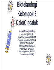 KELOMPOK 3 - FERMENTASI CINCALOK.pptx