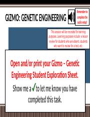 Gizmo - Genetic Engineering PPT.pptx