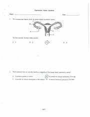 reproductive_system_questions- FROM GOOGLE.pdf
