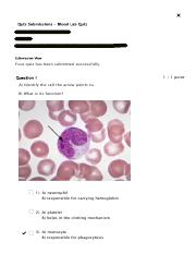 Quiz Submissions - Blood Lab Quiz - BSC2086L-atampt 2.pdf