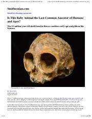 Is This Baby Animal the Last Common Ancestor of Humans and Apes_ _ Smart News _ Smithsonian.pdf