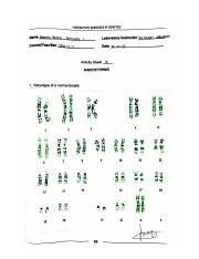 Babehis_DENT1J-1_M5 WHILE TASK  for Lab Exercise 15.pdf