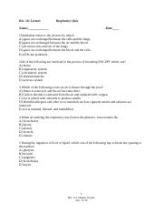 Bio 111 Respiratory quiz.docx