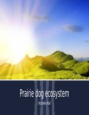 week 4 Prairie dog ecosystem