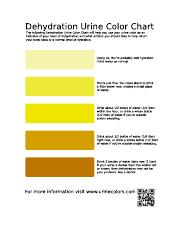 dehydration-chart - Dehydration Urine Color Chart The ...