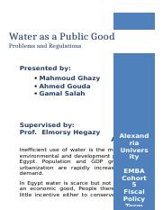 Water as a Public Good - Term Paper