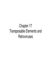 Chapter 17.pdf
