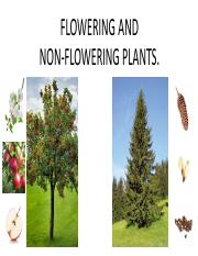 floweringplants2020-200216211405.pdf