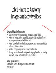Lab 1 images and activity slides_unlabeled.pptx