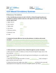 4.07 Blood Circulatory Systems.docx