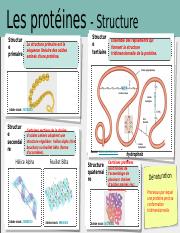 SBI4U_M1_Explorations1_piste3 - Les Protéines - Corrige 2.pptx