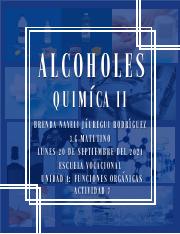 Alcoholes_Brenda_Jáuregui.pdf