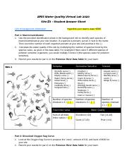 Copy of Water Quality VL 2020_ Site 1.docx