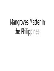Mangroves Matter in the Philippines.pptx