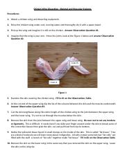 prac_chicken_wing_dissection.doc