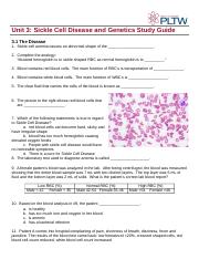 Anthony Purdy -  Unit 3: Sickle Cell Disease and Genetics Study Guide
