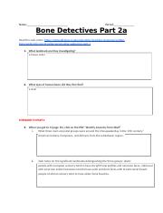 2.7 - Bone Detectives Part 2a-1 (1).docx