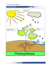 Microsoft Word - photosynthesis master.docx.pdf
