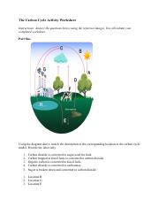 carbon_worksheet.pdf