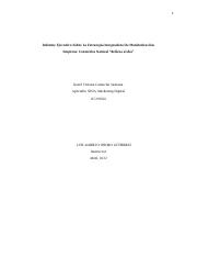 Informe Ejecutivo Campaña Publicitaria.pdf