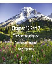 Chapter 12 Part 2 Spermatophytes.pptx
