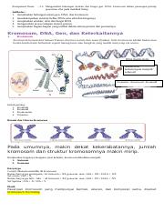 Jelaskan hubungan antara struktur kromosom gen dan dna