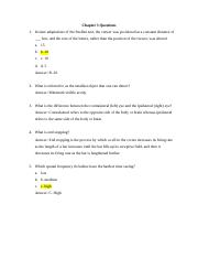 ch. 3 exam questions.docx