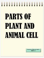 FRANCISCO, MARINEL JADE L. BS,T 2-1 (PARTS OF PLANT AND ANIMAL CELL).pdf