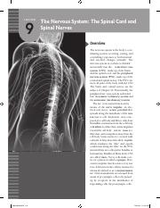 Nervous System Packet (1).pdf