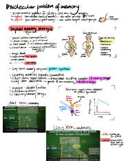 Molecular problem of memory.pdf