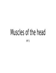 3. Muscles of the head.pptx