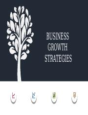 Business Growth stragies cde task.pptx