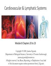 Lecture 8 - Cardiovascular & Lymphatic Systems.pdf