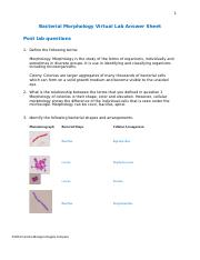 Bacterial Morphology Virtual Lab Questions.docx