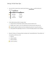 Microsoft Word - Biology 30 Endocrine Quiz #2.doc.pdf