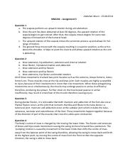 Assignment 3.pdf
