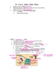 Ch14_pt2_RNAmolecules.pdf